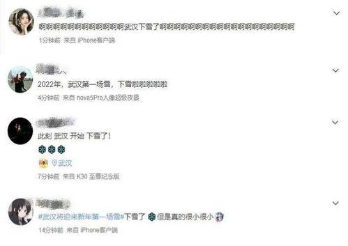 湖北网友爆料视频最新版,揭秘神秘事件真相！